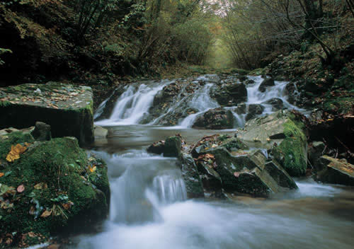 Il Torrente Onazio al Parco Faunistico